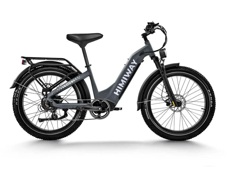 D5 ST(Zebra ST) / Premium All-terrain Electric Fat Bike
