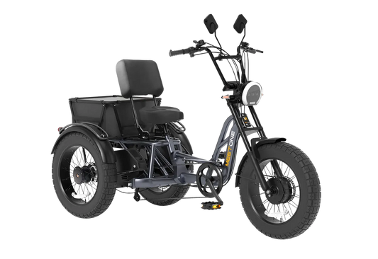 Meet One Tour Dual Motor Dual Battery Electric Trike