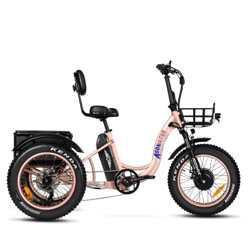 Triketan M-330 Electric Tricycle | $262 FREE GIFTS