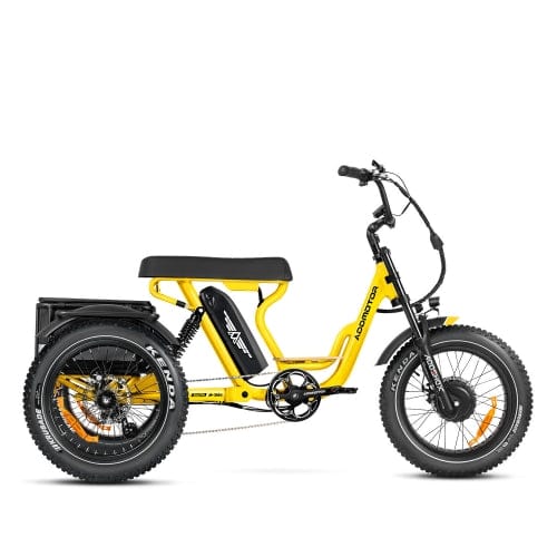 SOLETRI M-366X ELECTRIC TRIKE