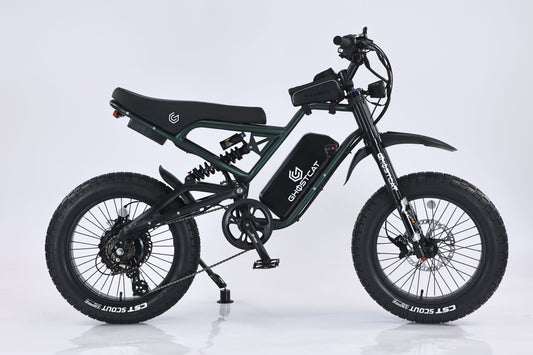 Ghostcat F3X 1500W PRO