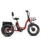 Triketan M-330 Electric Tricycle | $262 FREE GIFTS