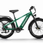 D5(Zebra) / Premium All-terrain Electric Fat Bike