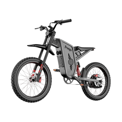 Freego X2 Pro All-Terrain Dirt eBike