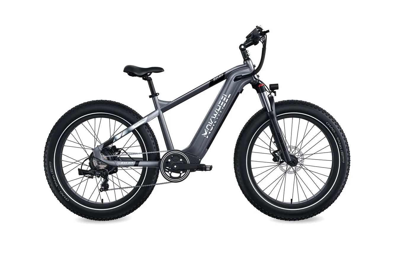 Mokwheel Basalt