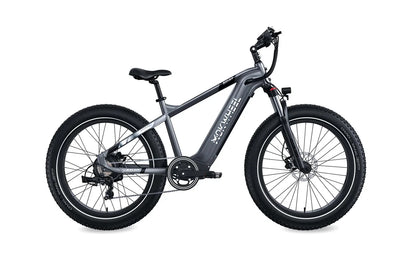 Mokwheel Basalt